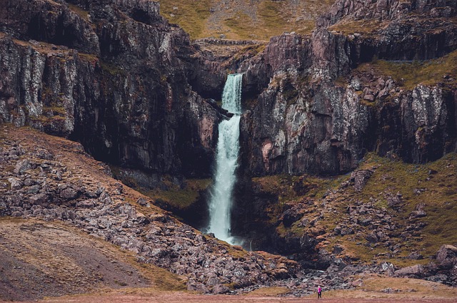 Image by StockSnap from Pixabay