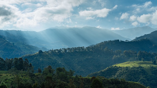 Image by StockSnap from Pixabay