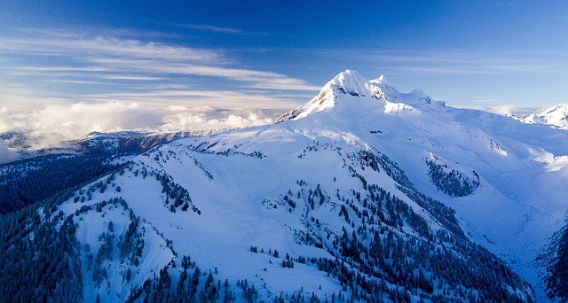 Image by StockSnap from Pixabay