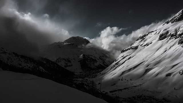 Image by StockSnap from Pixabay