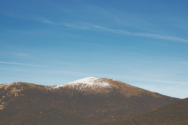 Image by StockSnap from Pixabay
