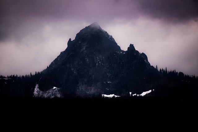 Image by StockSnap from Pixabay