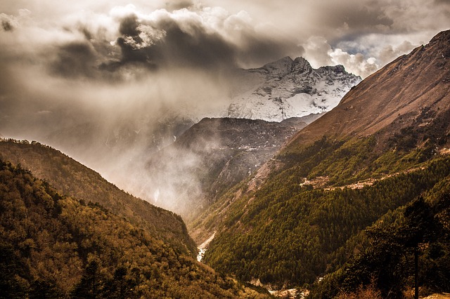 Image by StockSnap from Pixabay