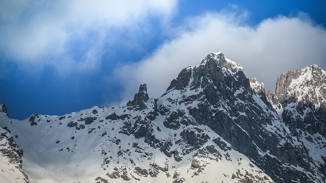 Image by StockSnap from Pixabay