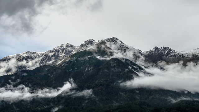 Image by StockSnap from Pixabay