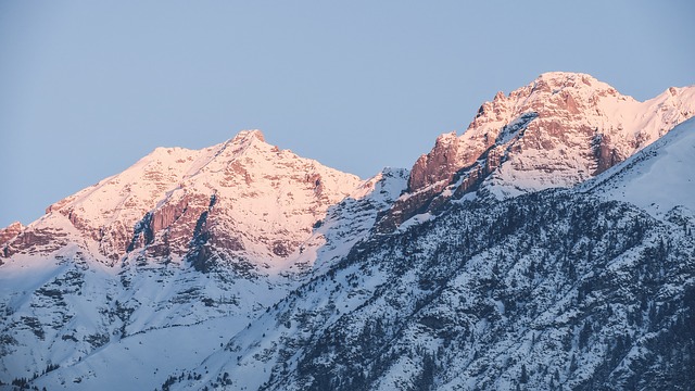 Image by StockSnap from Pixabay