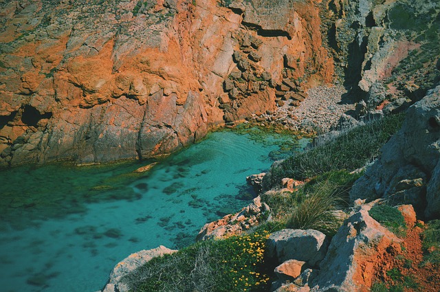 Image by StockSnap from Pixabay