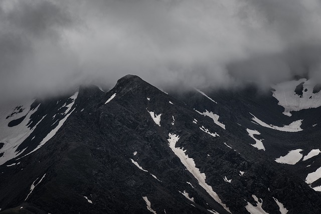 Image by StockSnap from Pixabay
