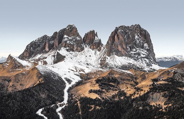 Image by StockSnap from Pixabay