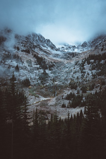 Image by StockSnap from Pixabay