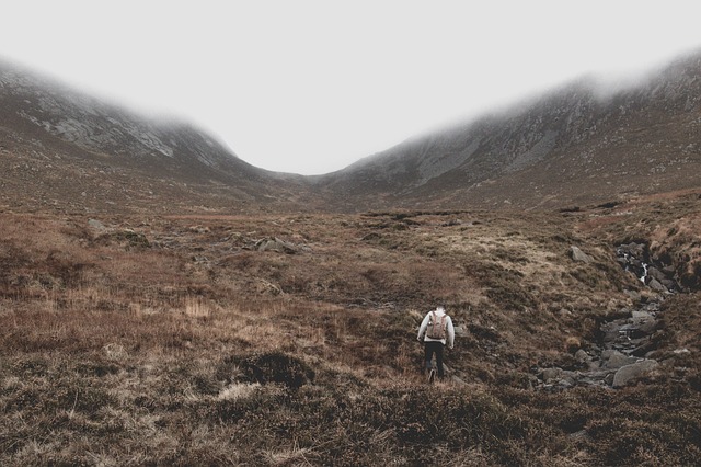 Image by StockSnap from Pixabay