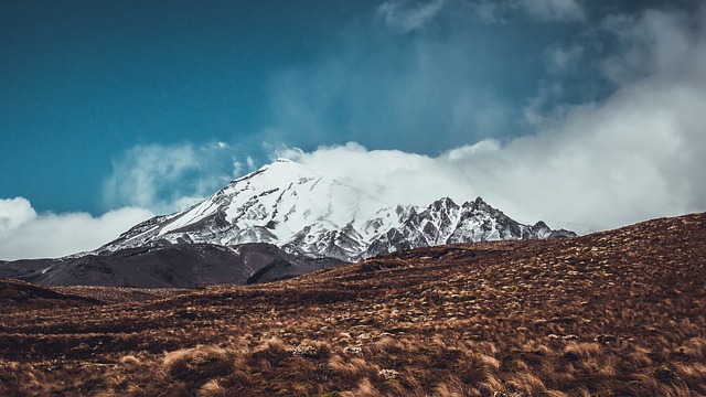 Image by StockSnap from Pixabay