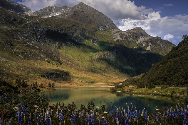 Image by Sven Pfister from Pixabay