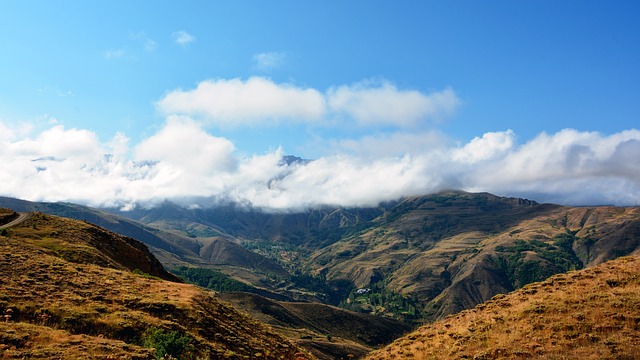Image by RÜŞTÜ BOZKUŞ from Pixabay