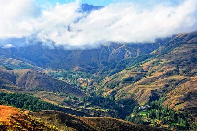 Image by RÜŞTÜ BOZKUŞ from Pixabay