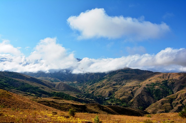 Image by RÜŞTÜ BOZKUŞ from Pixabay