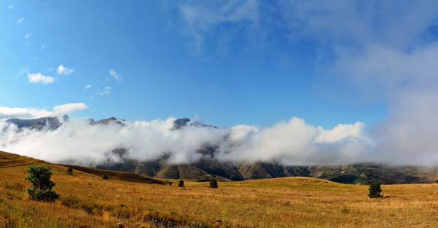 Image by RÜŞTÜ BOZKUŞ from Pixabay