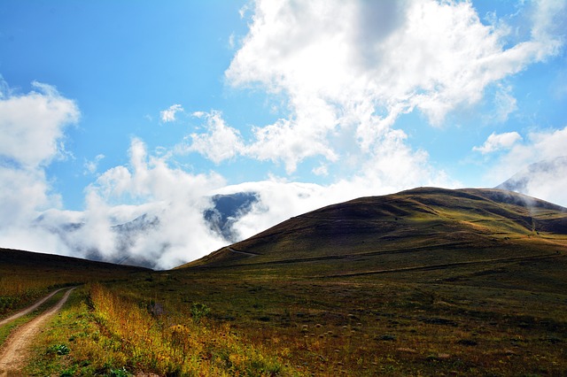 Image by RÜŞTÜ BOZKUŞ from Pixabay