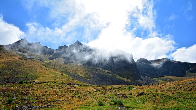 Image by RÜŞTÜ BOZKUŞ from Pixabay