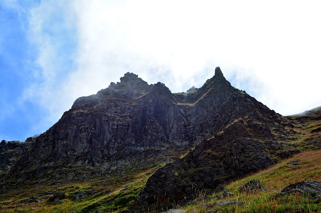 Image by RÜŞTÜ BOZKUŞ from Pixabay