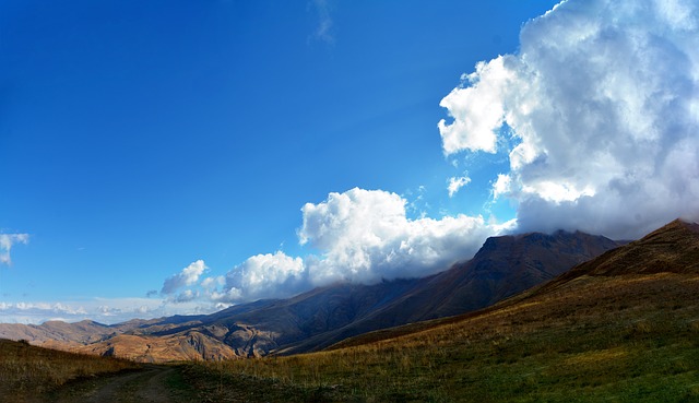 Image by RÜŞTÜ BOZKUŞ from Pixabay