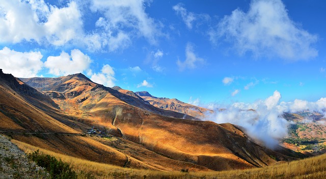 Image by RÜŞTÜ BOZKUŞ from Pixabay