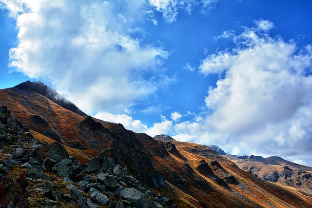 Image by RÜŞTÜ BOZKUŞ from Pixabay