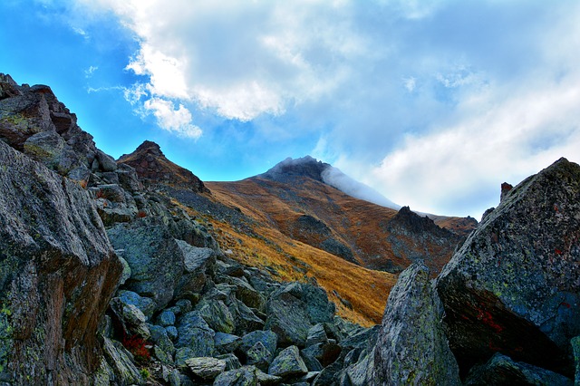 Image by RÜŞTÜ BOZKUŞ from Pixabay