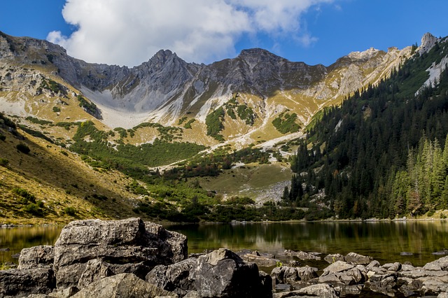 Image by Denny Franzkowiak from Pixabay
