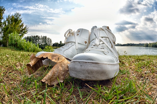 Image by Marion Wellmann from Pixabay
