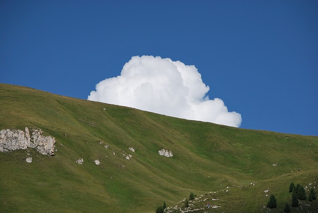 Image by fiammingo from Pixabay