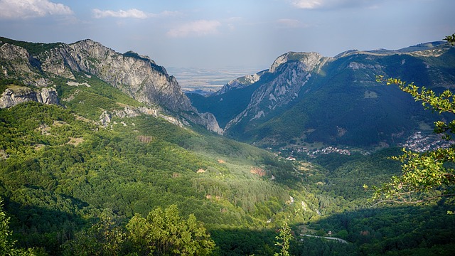 Image by Svetoslav Markov from Pixabay