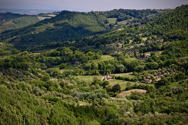 Image by Davide Dalese from Pixabay