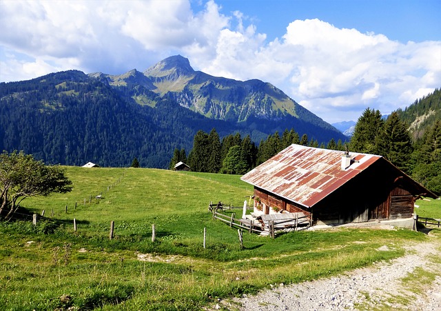 Image by RENE RAUSCHENBERGER from Pixabay