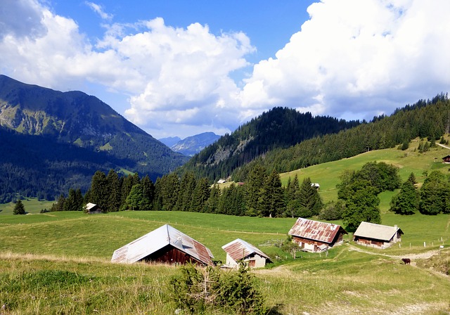 Image by RENE RAUSCHENBERGER from Pixabay