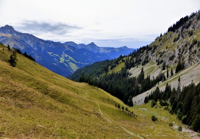 Image by RENE RAUSCHENBERGER from Pixabay