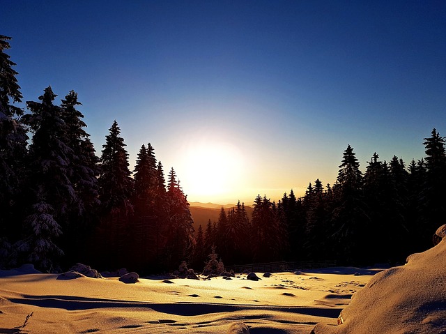 Image by MaritimeFlair from Pixabay