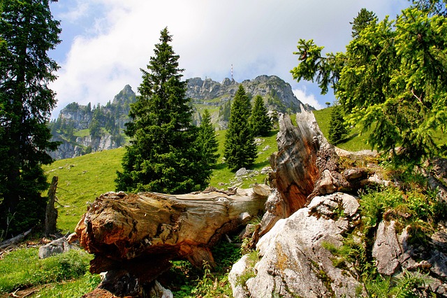 Image by holzijue from Pixabay