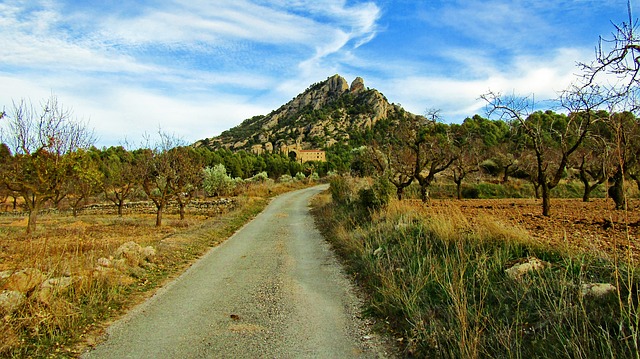 Image by Vane Monte from Pixabay