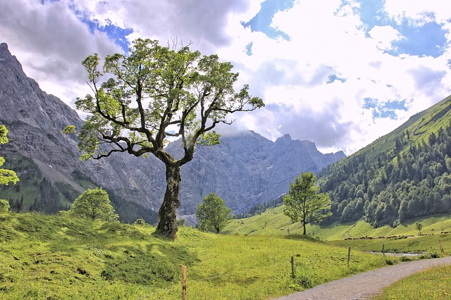 Image by holzijue from Pixabay