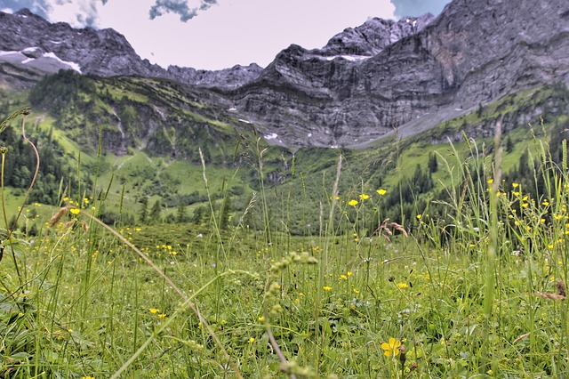 Image by holzijue from Pixabay