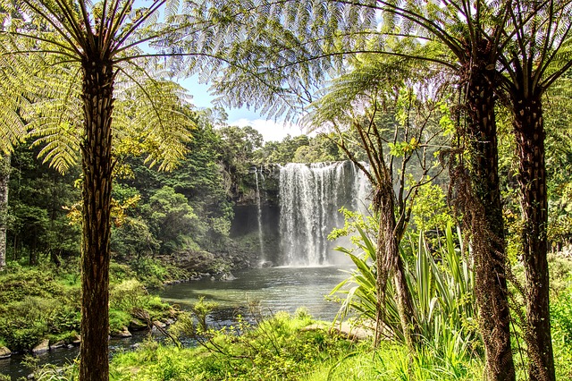 Image by ken lecoq from Pixabay