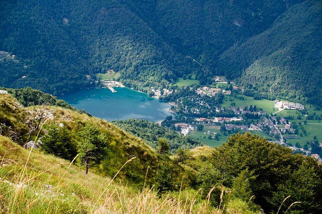 Image by Johannes Metzger from Pixabay