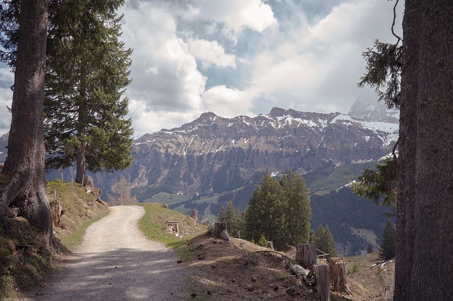 Image by Matthias Groeneveld from Pixabay