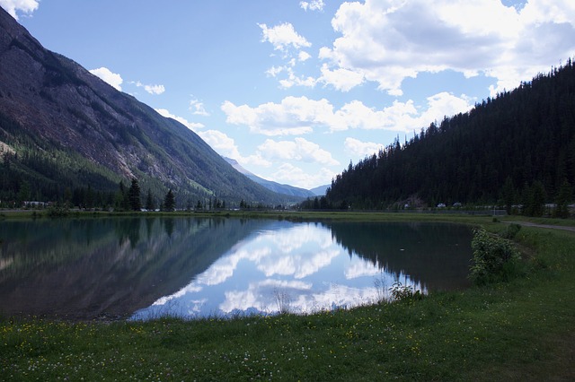 Image by cam hudson from Pixabay