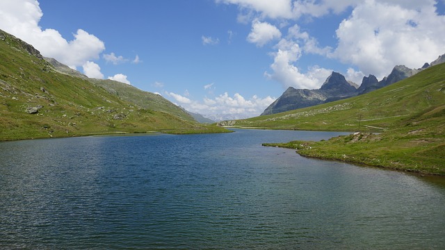 Image by joergweitz from Pixabay