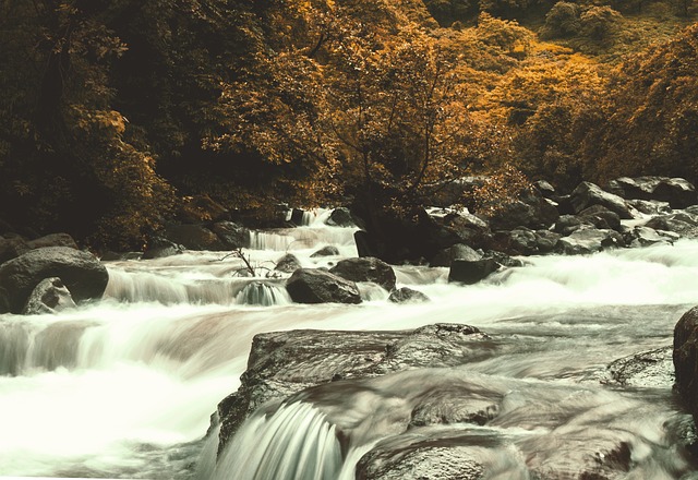 Image by DARSHAK PANDYA from Pixabay