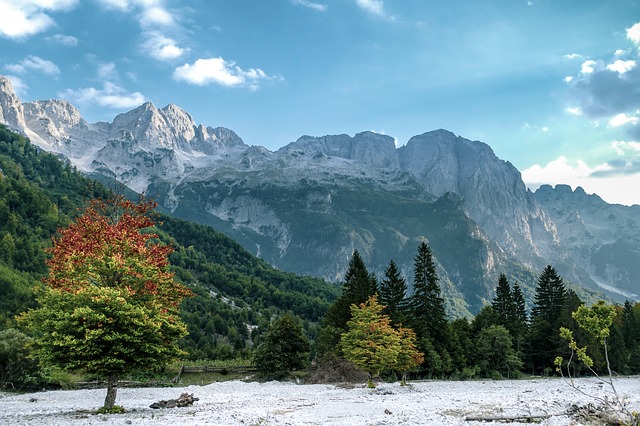 Image by Ervin Gjata from Pixabay