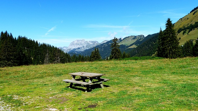 Image by RENE RAUSCHENBERGER from Pixabay