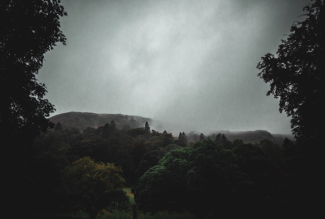Image by catcrawf1990 from Pixabay
